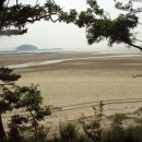 나리와꽃창포 이미지