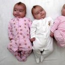 이쁘지요 이미지