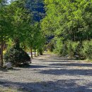 도마치로 이미지