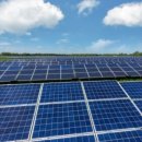 태양약품 이미지