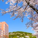 거제삼성호텔 이미지