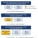 성인 폐구균(PCV13&PPSV23)접종방법 이미지