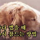 자다 깼을 때 다시 잠드는 방법 이미지