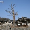 의정공 김국광사당 이미지