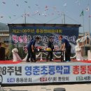 영춘초등학교 이미지