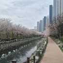 해수천1호 이미지