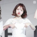 캐나다Mama