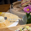 늘보씨의프랑스