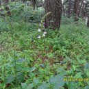 바우길 14구간 이미지