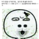 신기 이미지