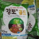 강화농약종묘사 이미지