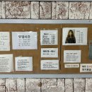 헤세드헤어 이미지