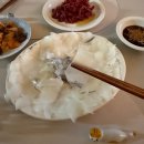 황금오징어 활어회센터2 | 오징어계의 에르메스 무늬오징어! 겨울 제철 무늬오징어! [삼척항] 삼척항 활어회센터!