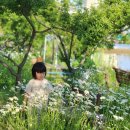 월가 농장 이미지