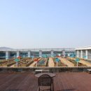 스마일농장 이미지