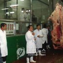 축협서울공판장 연합뉴스