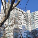 동성아파트 이미지