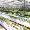 해오름농장 2 이미지