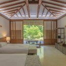 제주포도 이미지