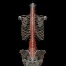 퍼스트랩 피티 이미지