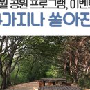 소풍104