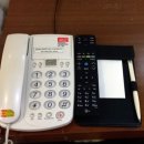 제주로베로아넥스 이미지