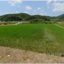 판대보건진료소 이미지