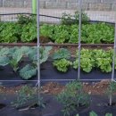 삼막골농원 이미지