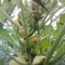 고향산천농장 이미지