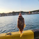 문중방파제 이미지