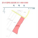 미천면-9 네이버블로그
