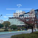 탄동천-2(유성-81) | 계룡스파텔 대전 유성 온천 호텔 숙박 후기 가성비 가족여행 추천