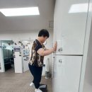 스텝박스 체조 Daum카페