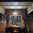 충주호반힐링 이미지