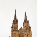 현상소비치하우스 | [후지필름 퀵스냅] 시드니 여행 필름카메라 현상 후기 | 코닥 펀세이버 비교