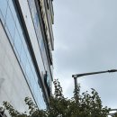 자연담한의원 | 기장한의원 차담한의원 진료 상담 친절했던 기장 한방치료 후기 내돈내산