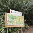 강남새싹유치원 이미지