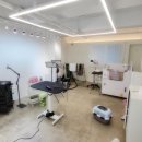 멋스럽개 이미지