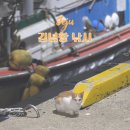 방파제 | 제주 방파제 김녕항 김녕방파제 낚시 후기
