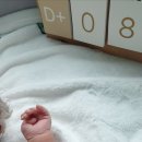 산본유도체육관 | 임신.출산.육아이야기3-아기 신생아 배앓이.변비.설사.목욕.수유.트림 등