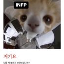 순미 이미지
