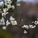 금호동 장미아파트 이미지