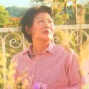 화양연화농장 이미지