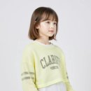 주식회사 파프리카