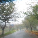 아미르하우스 이미지