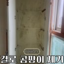 고양대로255번길 | 베란다 결로 곰팡이 제거와 재발방지
