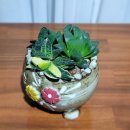 코코농장 2 이미지