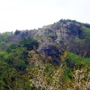 구룡포회 이미지