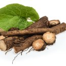 이즈스포츠클럽 이미지