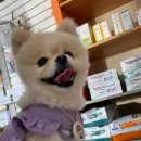 신내동물병원 이미지